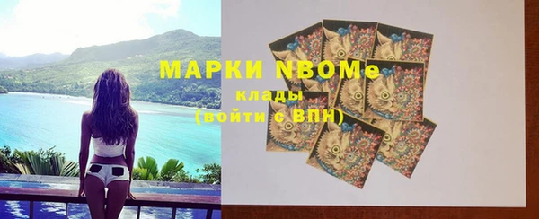 ПСИЛОЦИБИНОВЫЕ ГРИБЫ Кулебаки