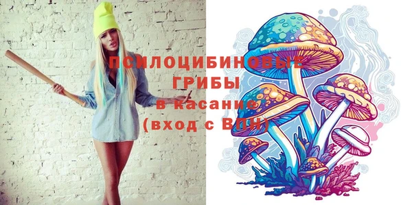 ПСИЛОЦИБИНОВЫЕ ГРИБЫ Кулебаки
