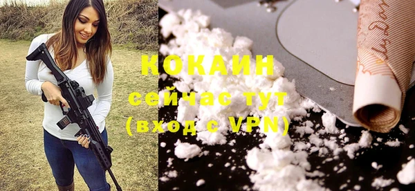 ПСИЛОЦИБИНОВЫЕ ГРИБЫ Кулебаки