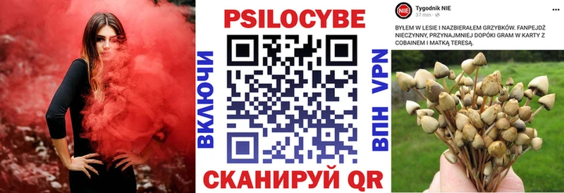 Купить где  Козельск  Галлюциногенные грибы мицелий 